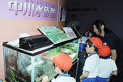 甲羅が黄色いスッポンも　サケのふるさと館に中川水族館