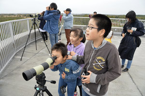 「茶色の羽よく見えた」 望遠鏡で 野鳥観察 ウトナイ湖・渡り鳥フェス