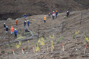 植栽試験区を公開 厚真 震災の森林被害復旧へ 復興連絡会議