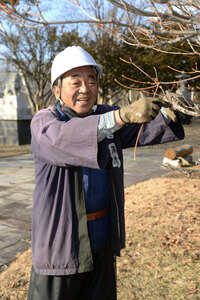 長岡造園会長 長岡　茂さん（７０） 現役職人 造園一筋５０年 街の樹見守る 
