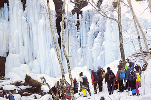 白老山岳会が氷瀑ツアー 厳冬期の造形美に感動