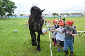 校庭の草”食べて”刈り取り　馬の「ナナ」、苫西小を訪問