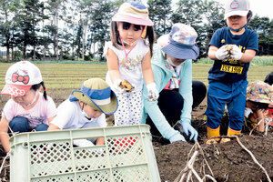 ジャガイモに大喜び 保育園児が収穫体験 恵庭