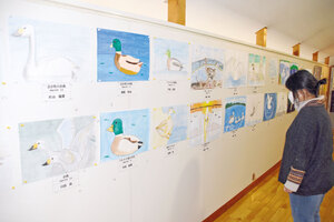 ウトナイ湖飛来の野鳥力強く　野生鳥獣保護センターで絵画展