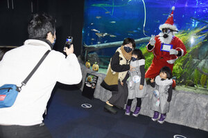 水槽にサンタ ダイバー登場 千歳水族館で クリスマスイベント