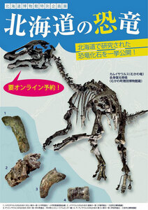 １２日から 北海道博物館で企画展　本道発見の化石一堂に　 むかわ竜も展示