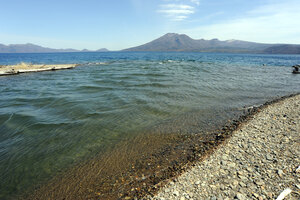 支笏湖にマリモ 来月１日はヒメマス釣り解禁 阿寒湖から移植の記録