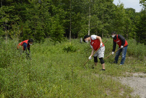 ボランティアで下草刈り 国有林で３社３６人が汗 異業種交流兼ね活動
