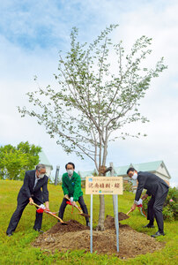 日高信金創立１００周年記念 アエル中庭に桜植樹