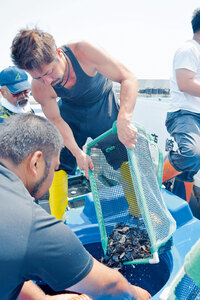 マツカワの稚魚放流 資源増大目指す いぶり中央 漁業協同組合 白老港