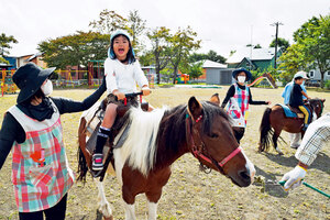 園児が乗馬を体験 緑丘保育園にポニー３頭　白老