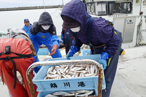 記録的不漁に危機感 今季シシャモ漁終了 鵡川漁業協同組合 総漁獲量１・４トン