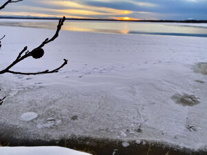 「大寒」の苫小牧　例年より暖かい朝に、ウトナイ湖幻想的に