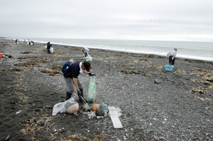 海浜をきれいに 社台地区 町内会連合会 ７０人が清掃活動　白老