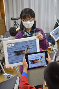 野鳥識別アプリを体験　苫小牧<br />
日本野鳥の会が米コーネル大と開発　データ蓄積へ利用呼び掛け