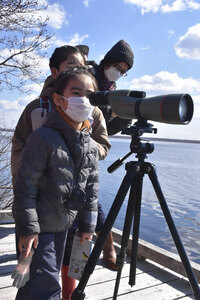 春告げる野鳥の渡り観察 ウトナイ湖野生鳥獣保護センター