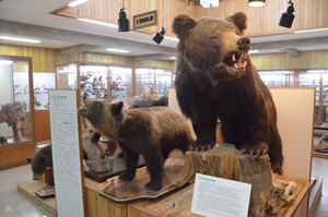 北大苫小牧研究林の資料館と記念館、今季の公開あすから