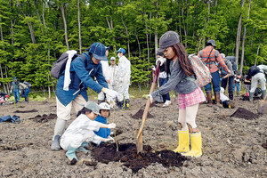 胆振東部地震の復興を祈念 厚真で北海道植樹祭 <br />
森林再生へ１０００本
