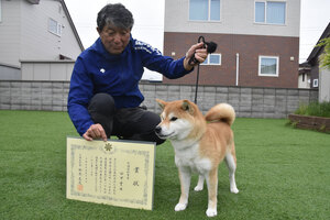苫小牧の田中さん飼育シバイヌに最高賞　日本犬保存会道支部展覧会　