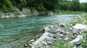 「水質が最も良好な河川」に沙流川 道内から後志利別川と尻別川も