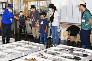 取れたての魚介類間近で マルトマ、小学生と家族対象に見学会