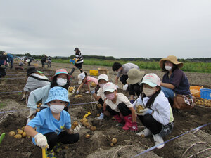 野菜たくさん収穫祭 芋掘りに家族連れ笑顔　千歳市の松浦農園  