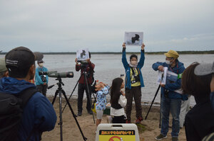 水鳥の群れに歓声　日本野鳥の会と苫支部 ウトナイ湖で観察会開く