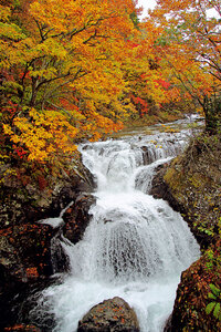 深まり行く秋 紅葉みごろ 伊達市大滝区の三階滝公園