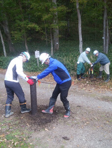 ポロトの森キャンプ場でボランティア活動 札幌林業土木協会　白老