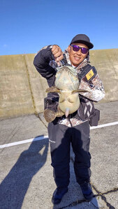 抱卵の大型大漁 一本防波堤はカジカ〝祭り〟 最大５２センチ、１００匹超