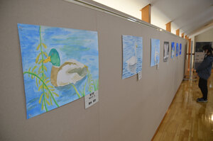 子どもたちの作品一堂に ３日まで「苫小牧の水鳥絵画展」 ウトナイ湖野生鳥獣保護センター